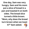 Sam’s Bread Magic - Why Bread Turns Brown When Toasting - Image 2