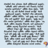 මැගීගේ ලුණු කැට - නිවසේදී ලුණු කැට සෑදීම සඳහා දිරිගැන්වීමක් - Image 2