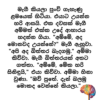මැගීගේ බිත්තර බැදීම - ආහාර පිසීමේදී සිදුවන වෙනස්කම් ගැන - Image 2