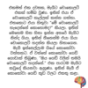 චොකලට් සිහිනය - චොකලට් නිෂ්පාදන ක්‍රියාවලිය - Image 2