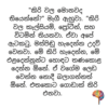 කිරි බොන්නැති මැගී - කිරි නිෂ්පාදන ක්‍රියාවලිය සහ පෝෂණ වටිනාකම ගැන - Image 3