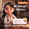 චොකලට් සිහිනය - චොකලට් නිෂ්පාදන ක්‍රියාවලිය