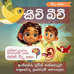 කීචි බීචි
