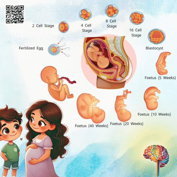 අලුත් බබා - Image 3