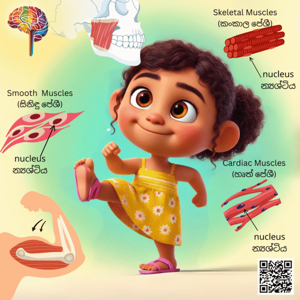 පනින සෙල්ලම - Image 3
